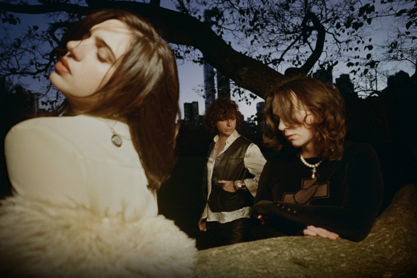 SUNFLOWER BEAN